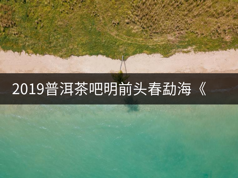 2019普洱茶吧明前頭春勐?！对鹿獍住钒撞鑳?yōu)惠訂購