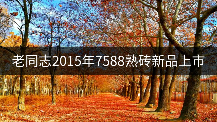 老同志2015年7588熟磚新品上市 老同志2015年7588熟磚新品上市