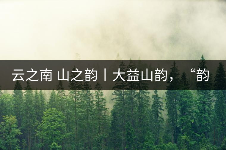 云之南 山之韻丨大益山韻，“韻”味傳奇之山韻歸來(lái)