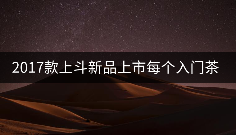 2017款上斗新品上市每個入門茶人都欠自己一餅上斗！