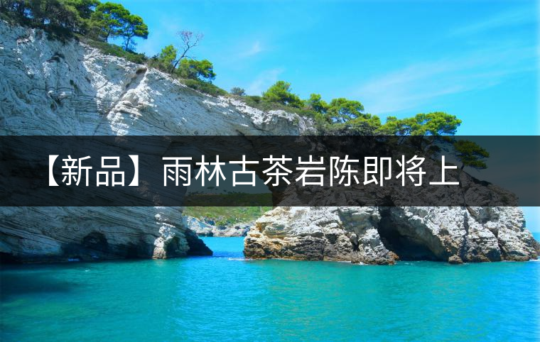 【新品】雨林古茶巖陳即將上市 【新品】雨林古茶巖陳即將上市