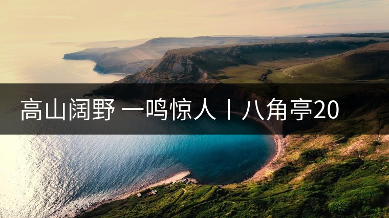 高山闊野 一鳴驚人〡八角亭2017年生肖紀念茶“高鳴”新春上市