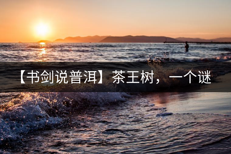 【書劍說普洱】茶王樹，一個(gè)謎一樣的地方