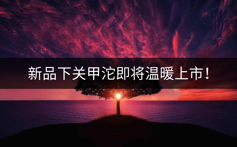 新品下關(guān)甲沱即將溫暖上市！