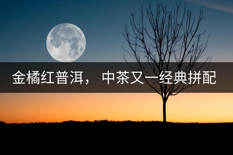 金橘紅普洱， 中茶又一經(jīng)典拼配力作，值得期待！