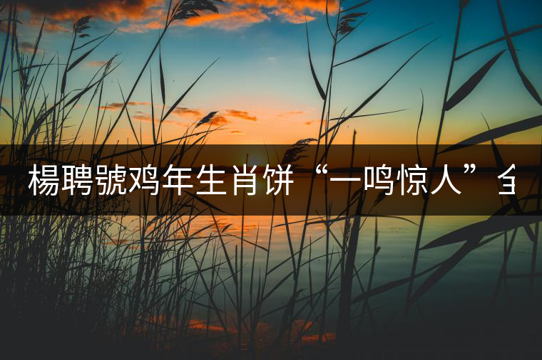 楊聘號(hào)雞年生肖餅“一鳴驚人”全國(guó)上市！