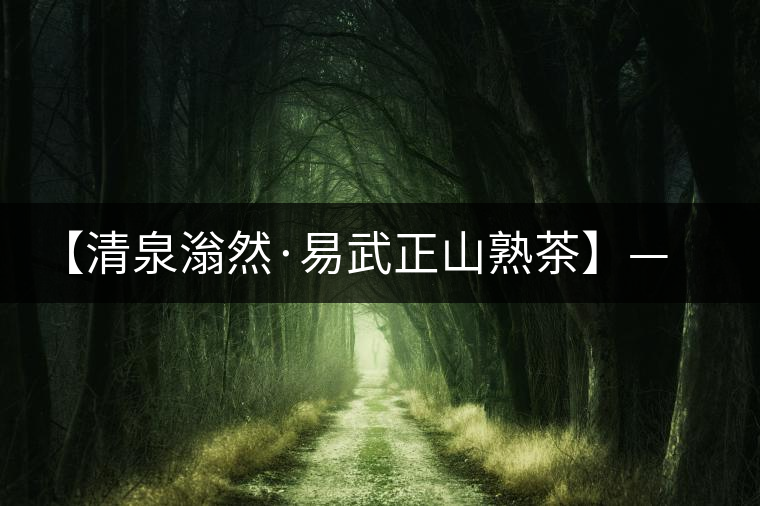 【清泉滃然·易武正山熟茶】——熨帖冬季的寒冷，來的正是時(shí)候！