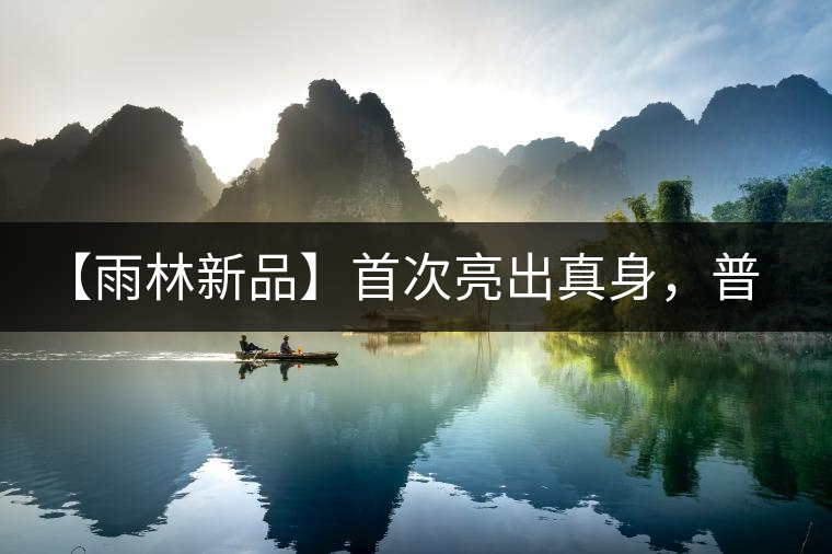 【雨林新品】首次亮出真身，普洱茶史上第一件新班章！