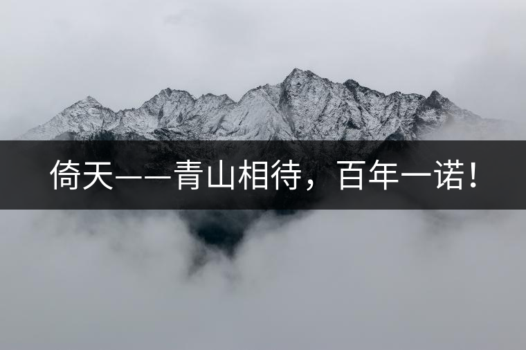倚天——青山相待，百年一諾！