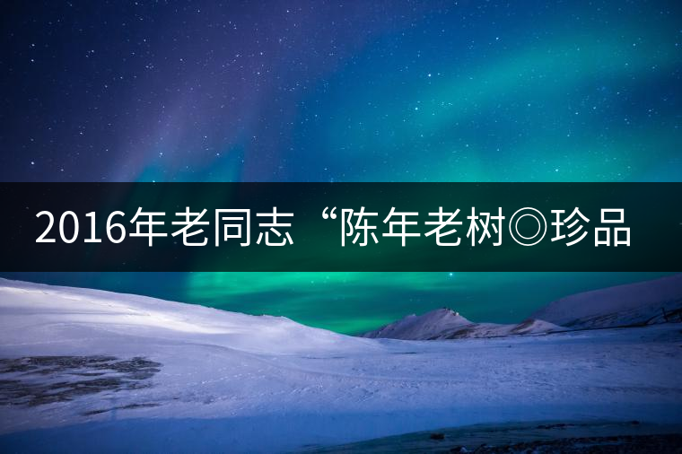 2016年老同志“陳年老樹◎珍品普洱”隆重上市！