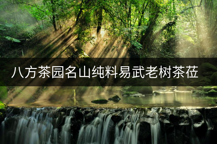 八方茶園名山純料易武老樹(shù)茶蒞臨