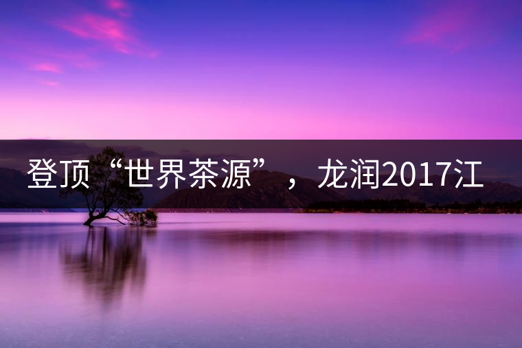 登頂“世界茶源”，龍潤2017江城茶上市啦！