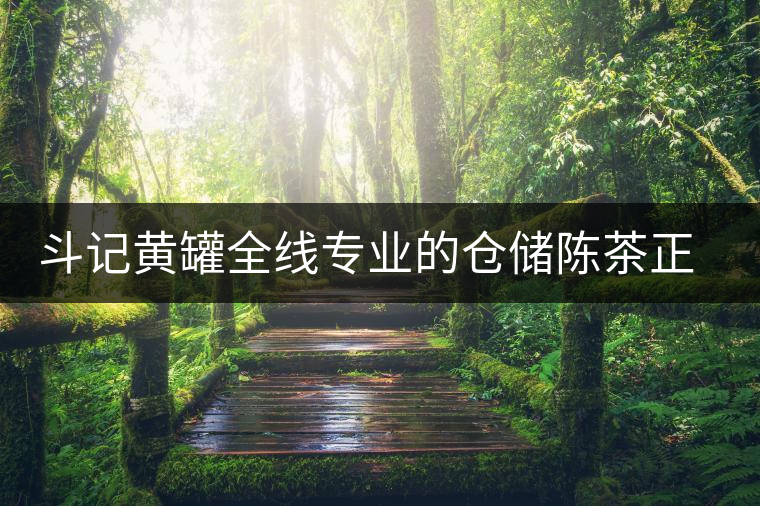 斗記黃罐全線專業(yè)的倉儲陳茶正式上市