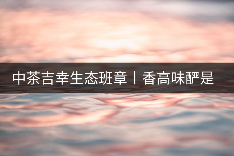 中茶吉幸生態(tài)班章丨香高味釅是王者，且品且珍惜