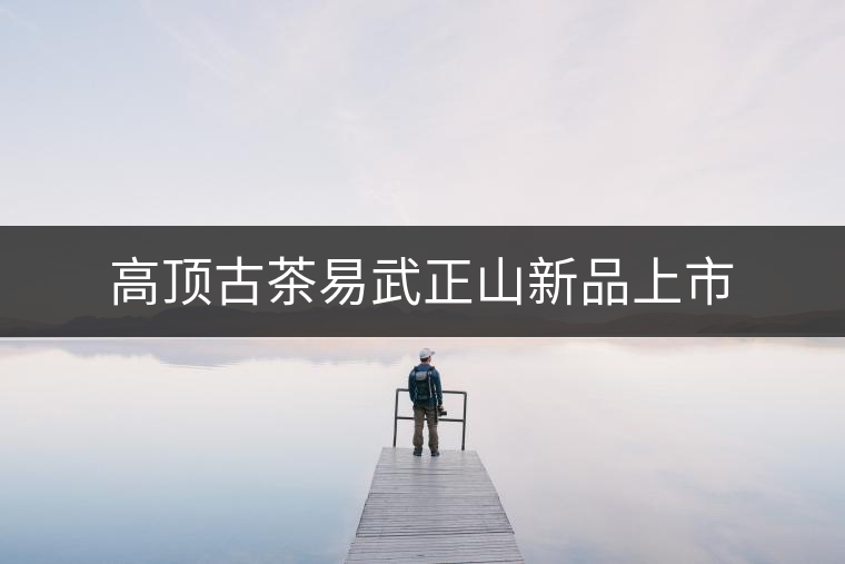 高頂古茶易武正山新品上市 高頂古茶易武正山新品上市