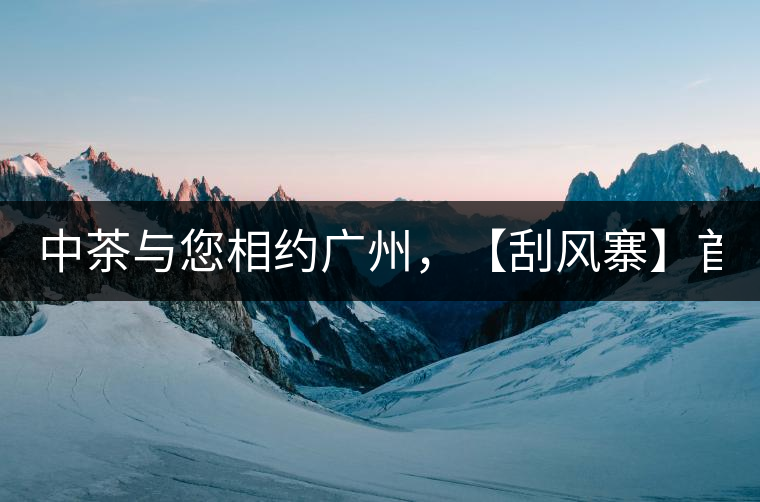 中茶與您相約廣州，【刮風(fēng)寨】首次亮相！
