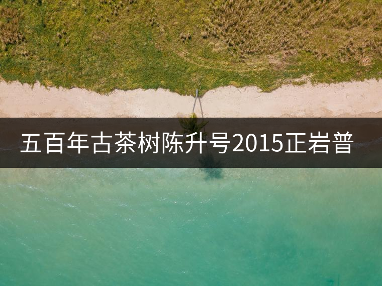 五百年古茶樹陳升號2015正巖普洱上市 五百年古茶樹陳升號2015正巖普洱上市