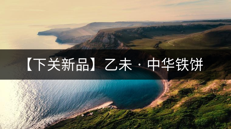 【下關(guān)新品】乙未 · 中華鐵餅