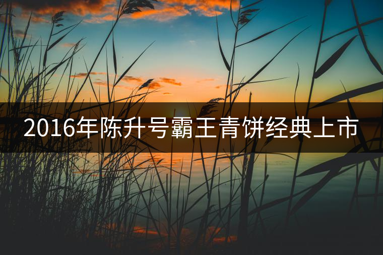 2016年陳升號(hào)霸王青餅經(jīng)典上市 2016年陳升號(hào)霸王青餅經(jīng)典上市