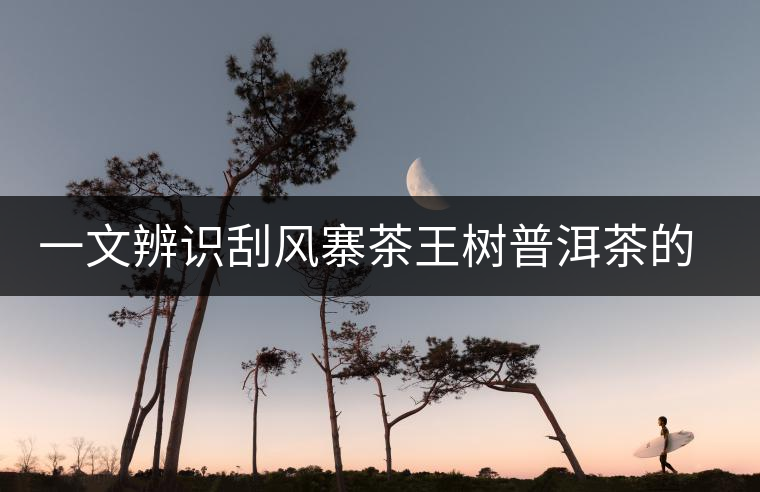 一文辨識刮風(fēng)寨茶王樹普洱茶的最大特點 一文辨識刮風(fēng)寨茶王樹普洱茶的最大特點