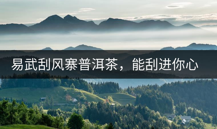 易武刮風(fēng)寨普洱茶，能刮進(jìn)你心中的一道風(fēng)