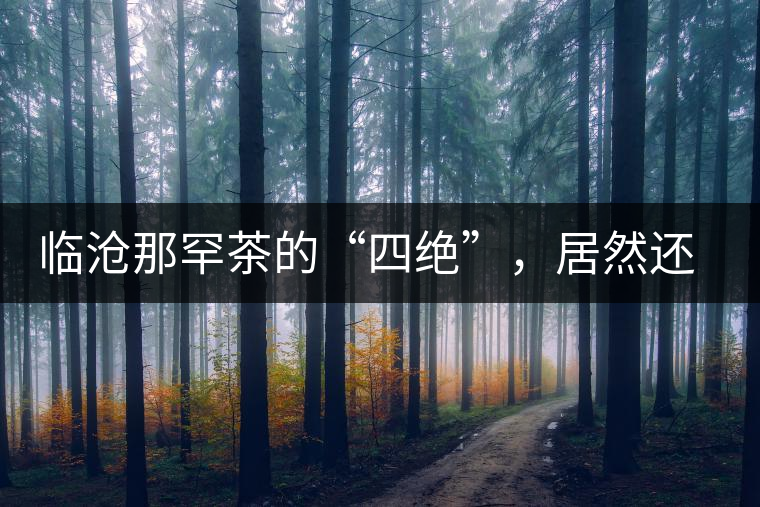 臨滄那罕茶的“四絕”，居然還沒說到它的品質(zhì)