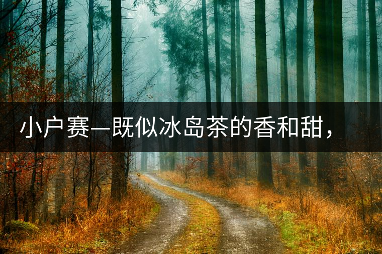 小戶賽—既似冰島茶的香和甜，又有其獨(dú)特的純和凈