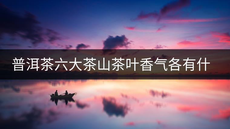 普洱茶六大茶山茶葉香氣各有什么特點(diǎn)？