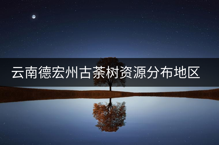 云南德宏州古荼樹(shù)資源分布地區(qū)及茶樹(shù)特點(diǎn)介紹