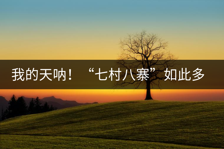 我的天吶！“七村八寨”如此多的易武茶，品質(zhì)特色如何分辨？