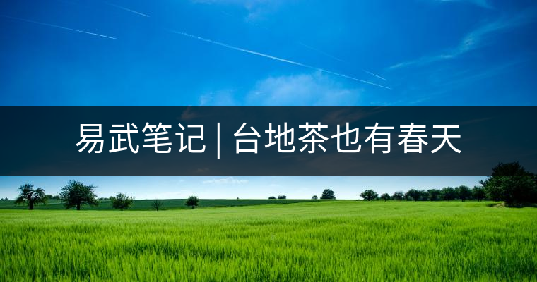 易武筆記 | 臺地茶也有春天 易武筆記 | 臺地茶也有春天