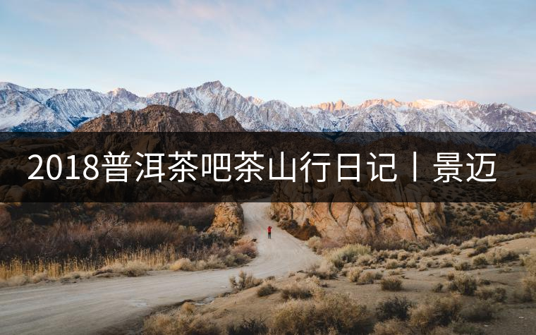 2018普洱茶吧茶山行日記丨景邁古茶園(二) 2018普洱茶吧茶山行日記丨景邁古茶園(二)