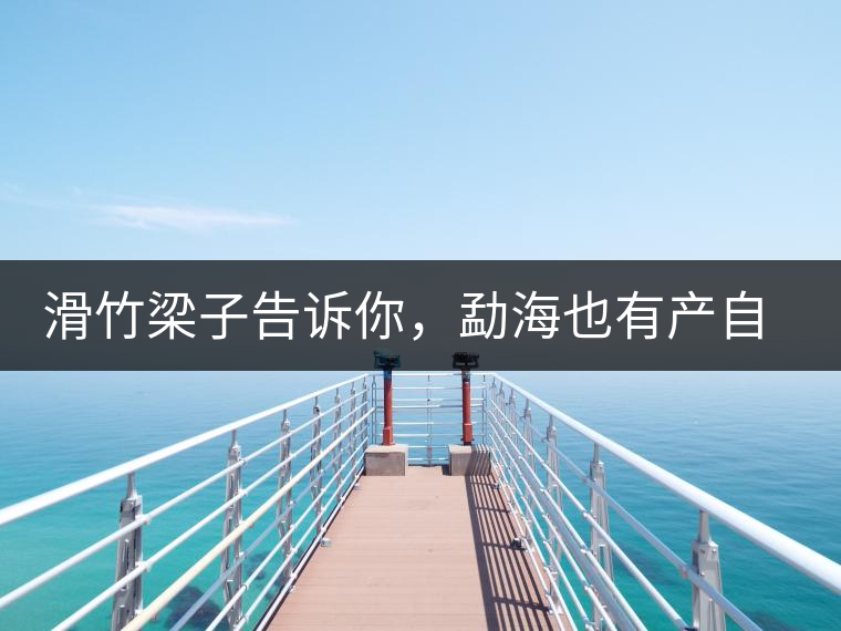 滑竹梁子告訴你，勐海也有產(chǎn)自國(guó)有林里的好茶！