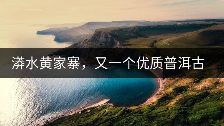 漭水黃家寨，又一個(gè)優(yōu)質(zhì)普洱古樹群落