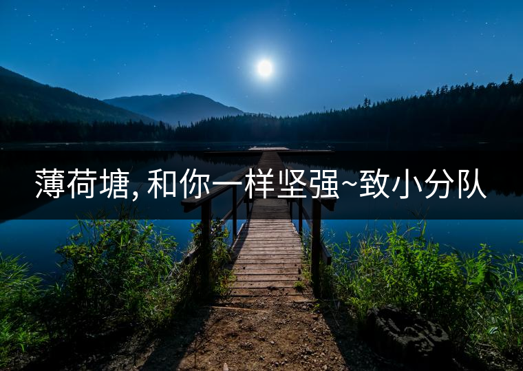 薄荷塘, 和你一樣堅(jiān)強(qiáng)~致小分隊(duì) 薄荷塘, 和你一樣堅(jiān)強(qiáng)~致小分隊(duì)