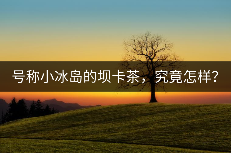 號稱小冰島的壩卡茶，究竟怎樣？