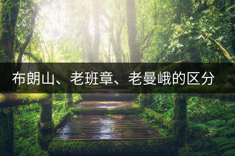 布朗山、老班章、老曼峨的區(qū)分和鑒別