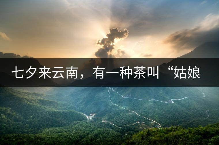 七夕來云南，有一種茶叫“姑娘茶”，也許你就能遇上