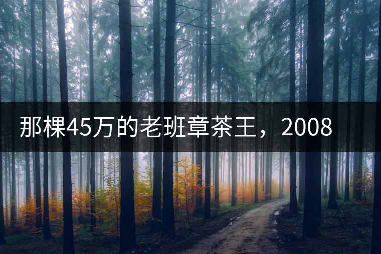 那棵45萬的老班章茶王，2008年是什么樣子的？
