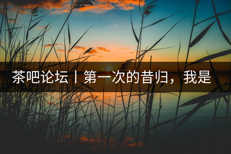 茶吧論壇丨第一次的昔歸，我是這樣喝到的