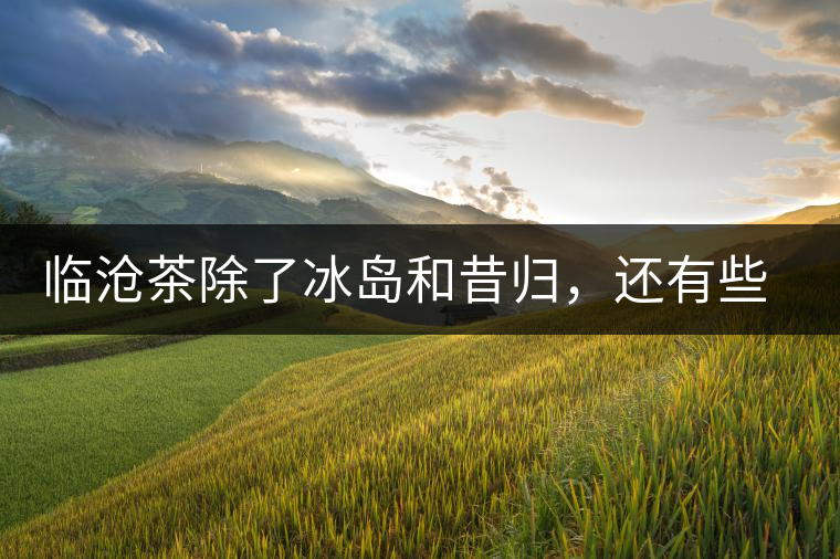 臨滄茶除了冰島和昔歸，還有些什么？