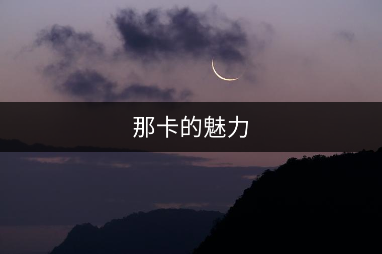 那卡的魅力 那卡的魅力