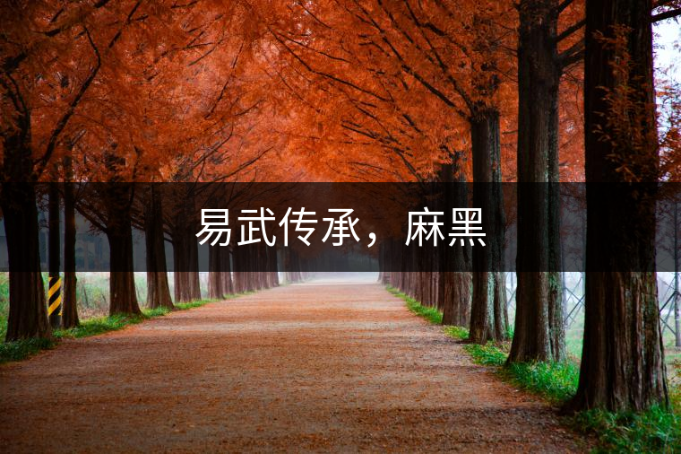 易武傳承，麻黑