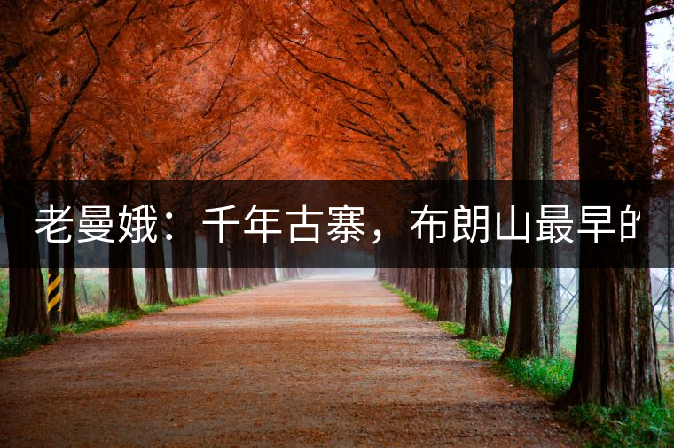 老曼娥：千年古寨，布朗山最早的民族！