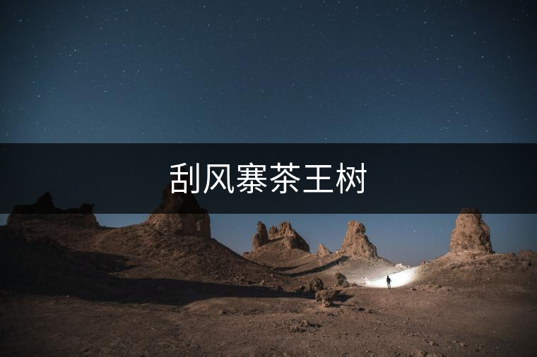 刮風(fēng)寨茶王樹(shù) 刮風(fēng)寨茶王樹(shù)