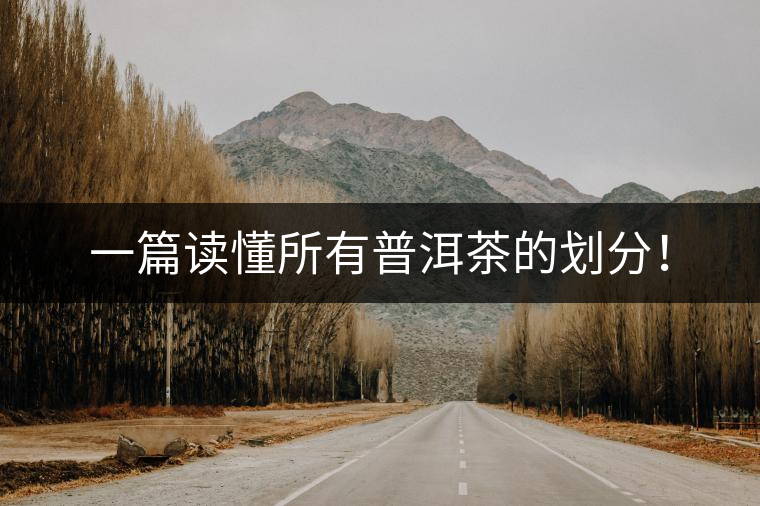 一篇讀懂所有普洱茶的劃分！