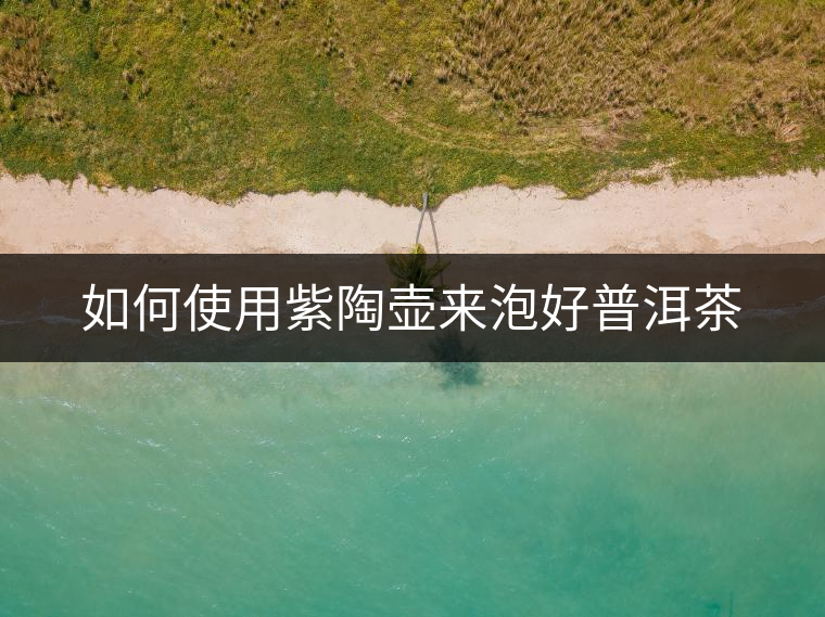 如何使用紫陶壺來泡好普洱茶 如何使用紫陶壺來泡好普洱茶