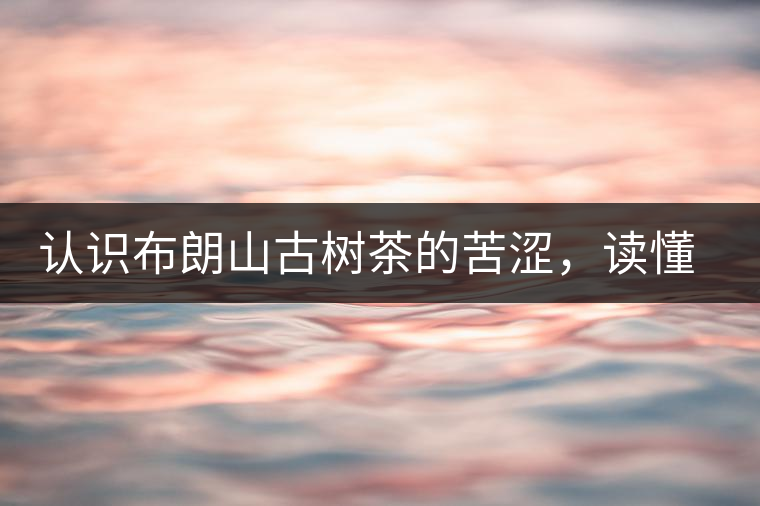 認(rèn)識布朗山古樹茶的苦澀，讀懂勐海普洱茶