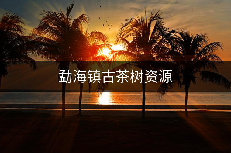勐海鎮(zhèn)古茶樹(shù)資源