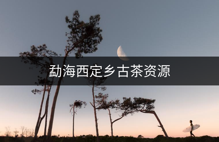 勐海西定鄉(xiāng)古茶資源 勐海西定鄉(xiāng)古茶資源